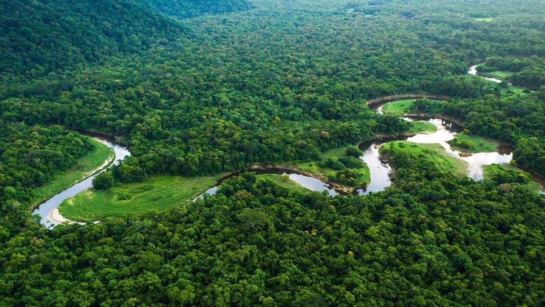 Petualangan di Hutan Amazon dengan Sedikit Judi Online